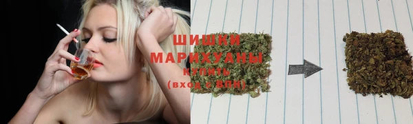 трава Беломорск