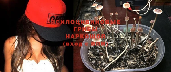 экстази Белокуриха