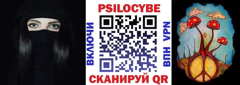 Псилоцибиновые грибы Psilocybe  Зеленоградск 