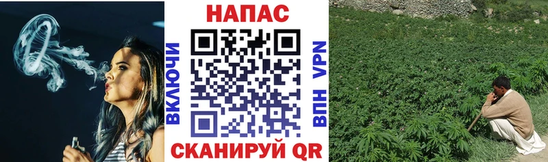 закладка  Зеленоградск  МАРИХУАНА планчик 